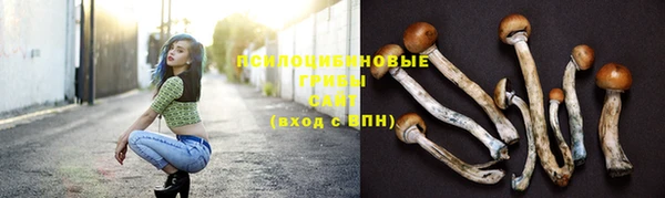 не бодяженный Волоколамск
