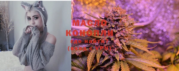 не бодяженный Волоколамск