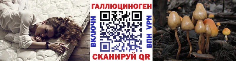 Галлюциногенные грибы прущие грибы  как найти   даркнет состав  Юрга 